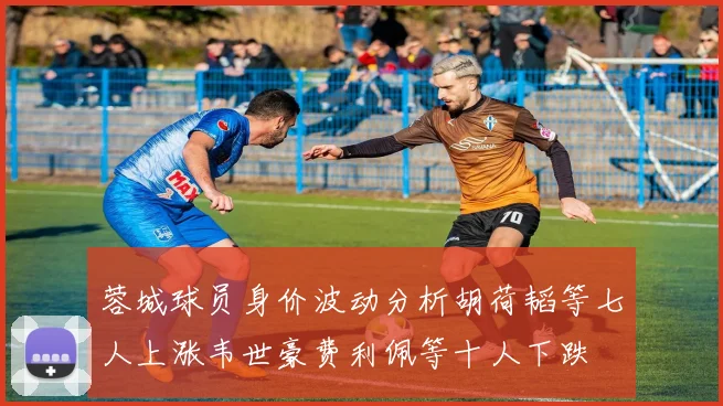 蓉城球员身价波动分析胡荷韬等七人上涨韦世豪费利佩等十人下跌