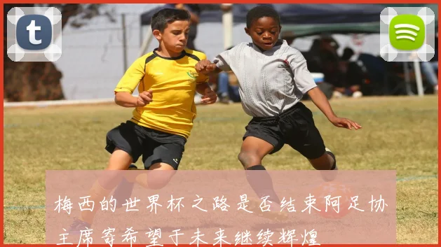 梅西的世界杯之路是否结束阿足协主席寄希望于未来继续辉煌