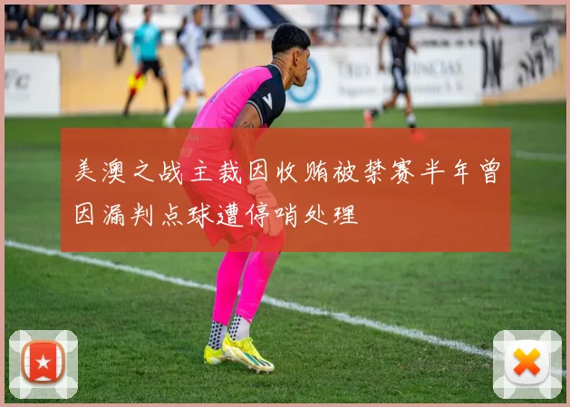 美澳之战主裁因收贿被禁赛半年曾因漏判点球遭停哨处理